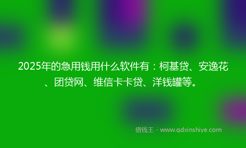 2025年的急用钱用什么软件有：柯基贷、安逸花、团贷网、维信卡卡贷、洋钱罐等。