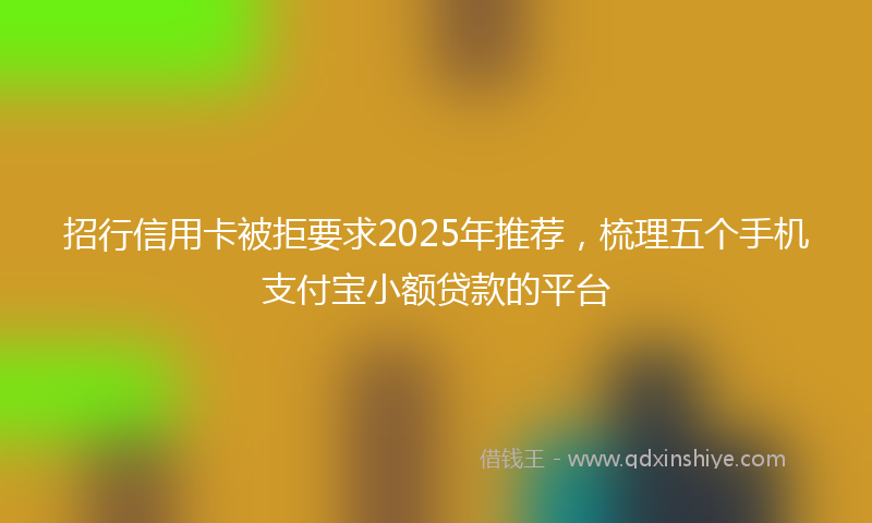 招行信用卡被拒要求2025年推荐，梳理五个手机支付宝小额贷款的平台