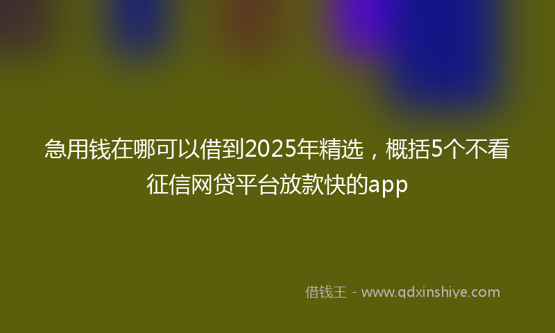 急用钱在哪可以借到2025年精选，概括5个不看征信网贷平台放款快的app