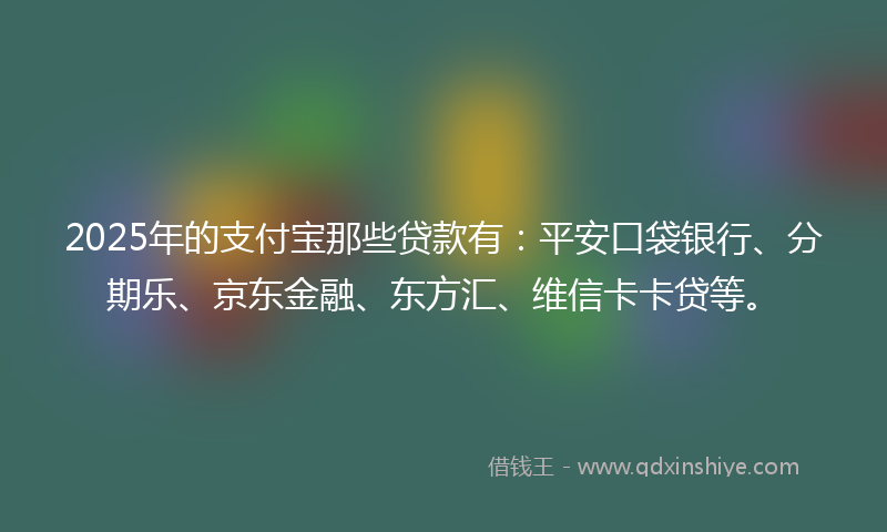 2025年的支付宝那些贷款有：平安口袋银行、分期乐、京东金融、东方汇、维信卡卡贷等。