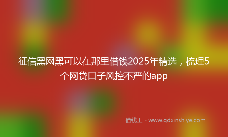 征信黑网黑可以在那里借钱2025年精选，梳理5个网贷口子风控不严的app