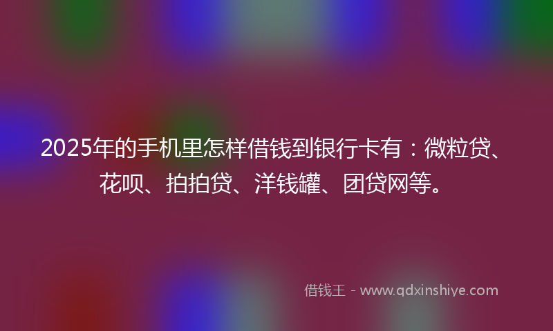 2025年的手机里怎样借钱到银行卡有：微粒贷、花呗、拍拍贷、洋钱罐、团贷网等。