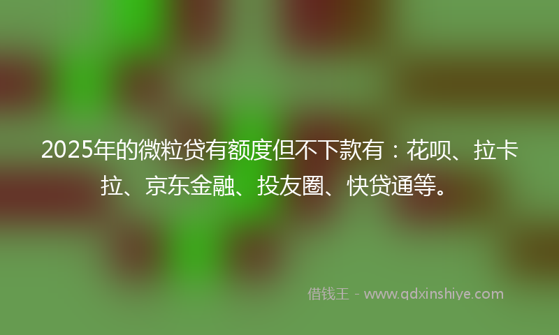 2025年的微粒贷有额度但不下款有：花呗、拉卡拉、京东金融、投友圈、快贷通等。