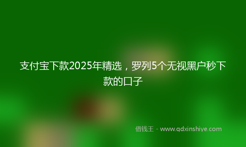 支付宝下款2025年精选，罗列5个无视黑户秒下款的口子