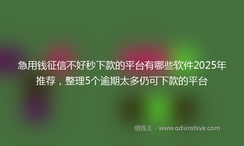 急用钱征信不好秒下款的平台有哪些软件2025年推荐，整理5个逾期太多仍可下款的平台