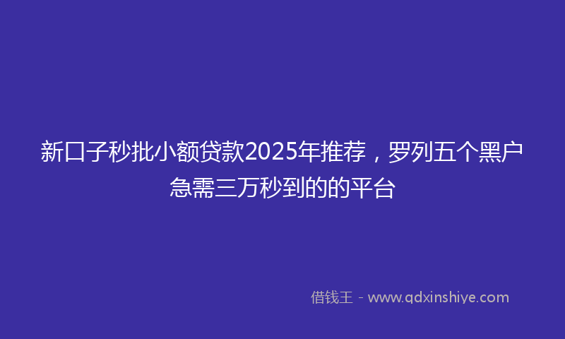 新口子秒批小额贷款2025年推荐，罗列五个黑户急需三万秒到的的平台