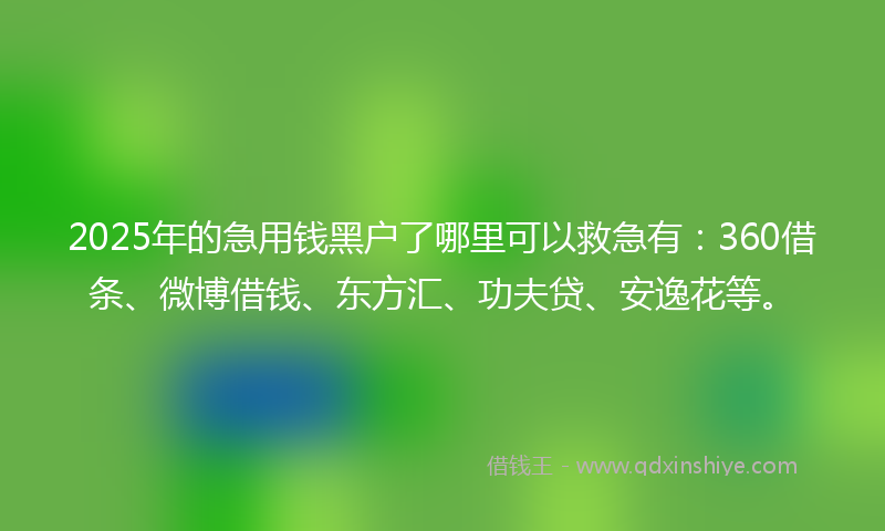 2025年的急用钱黑户了哪里可以救急有：360借条、微博借钱、东方汇、功夫贷、安逸花等。