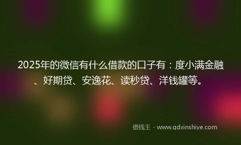 2025年的微信有什么借款的口子有：度小满金融、好期贷、安逸花、读秒贷、洋钱罐等。