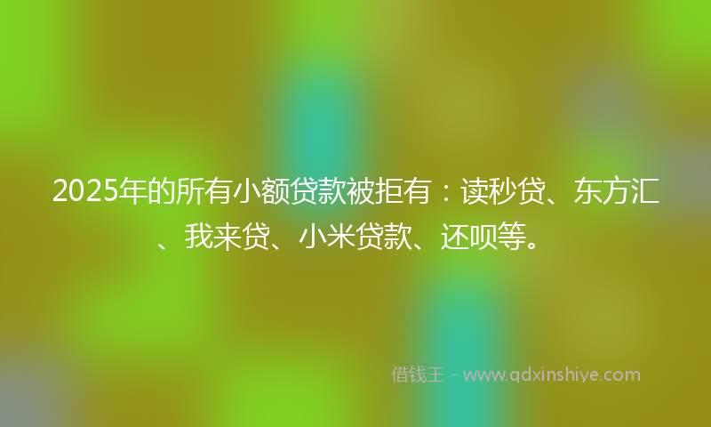 2025年的所有小额贷款被拒有：读秒贷、东方汇、我来贷、小米贷款、还呗等。