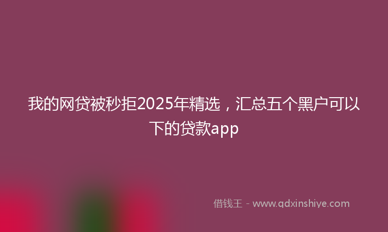 我的网贷被秒拒2025年精选，汇总五个黑户可以下的贷款app