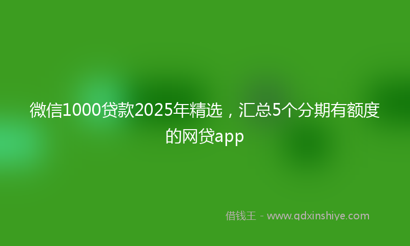 微信1000贷款2025年精选，汇总5个分期有额度的网贷app