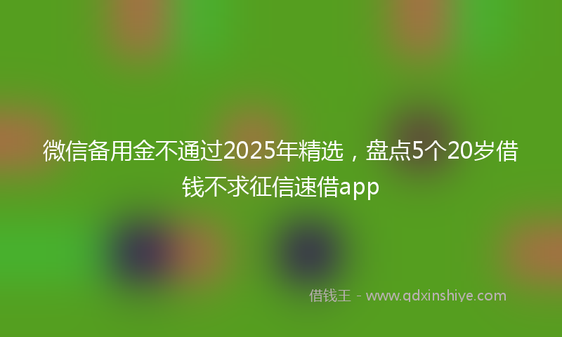 微信备用金不通过2025年精选，盘点5个20岁借钱不求征信速借app
