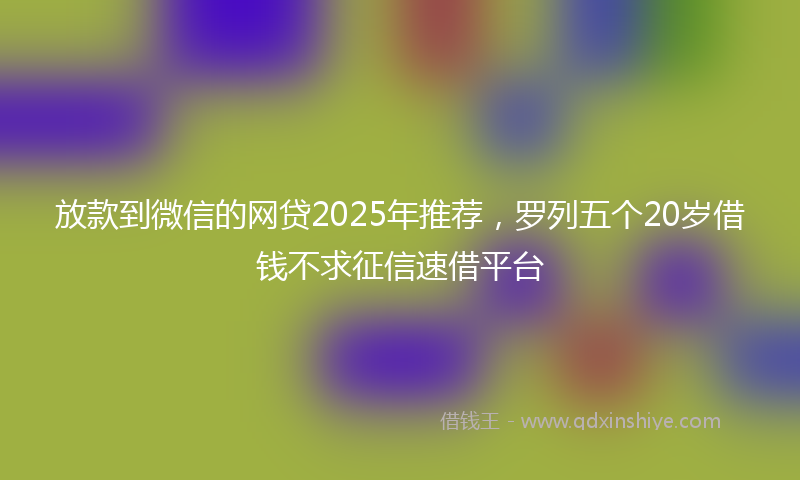 放款到微信的网贷2025年推荐，罗列五个20岁借钱不求征信速借平台