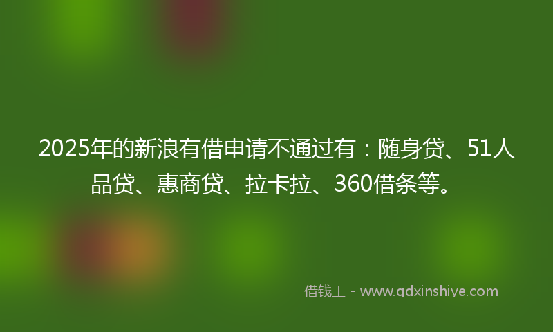 2025年的新浪有借申请不通过有：随身贷、51人品贷、惠商贷、拉卡拉、360借条等。