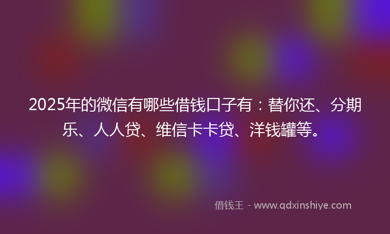 2025年的微信有哪些借钱口子有：替你还、分期乐、人人贷、维信卡卡贷、洋钱罐等。