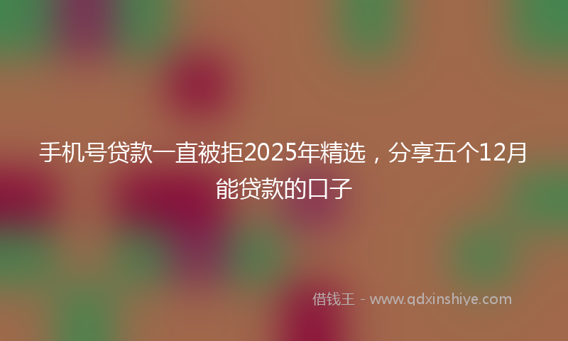手机号贷款一直被拒2025年精选，分享五个12月能贷款的口子