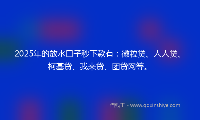 2025年的放水口子秒下款有：微粒贷、人人贷、柯基贷、我来贷、团贷网等。