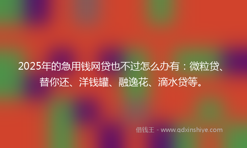 2025年的急用钱网贷也不过怎么办有：微粒贷、替你还、洋钱罐、融逸花、滴水贷等。