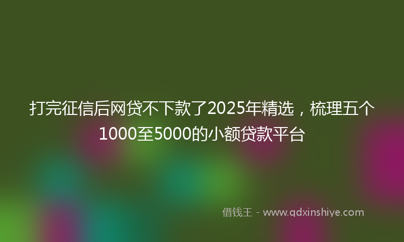 打完征信后网贷不下款了2025年精选，梳理五个1000至5000的小额贷款平台