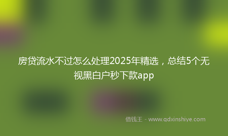 房贷流水不过怎么处理2025年精选，总结5个无视黑白户秒下款app