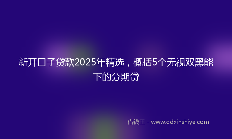 新开口子贷款2025年精选，概括5个无视双黑能下的分期贷