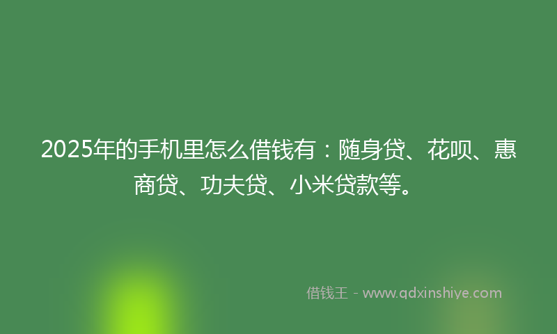 2025年的手机里怎么借钱有：随身贷、花呗、惠商贷、功夫贷、小米贷款等。