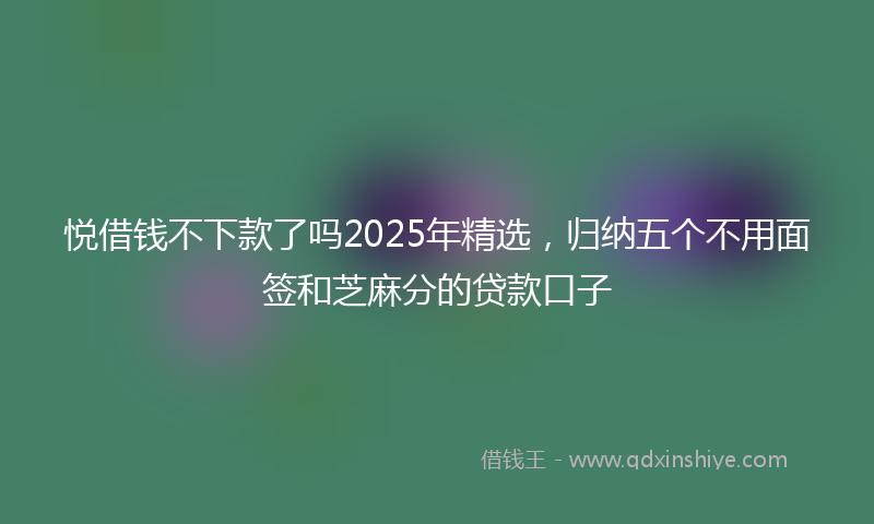 悦借钱不下款了吗2025年精选，归纳五个不用面签和芝麻分的贷款口子