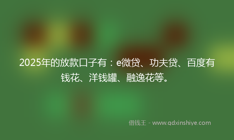 2025年的放款口子有：e微贷、功夫贷、百度有钱花、洋钱罐、融逸花等。