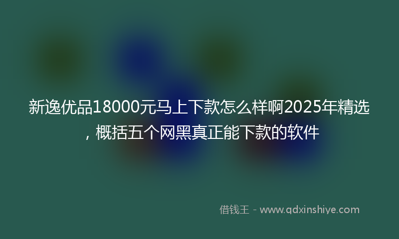 新逸优品18000元马上下款怎么样啊2025年精选，概括五个网黑真正能下款的软件