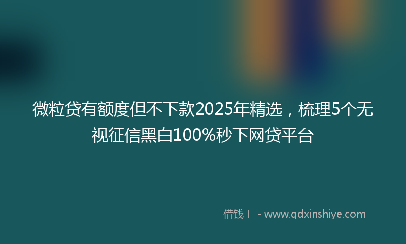 微粒贷有额度但不下款2025年精选，梳理5个无视征信黑白100%秒下网贷平台