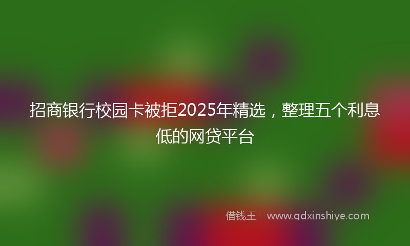 招商银行校园卡被拒2025年精选，整理五个利息低的网贷平台
