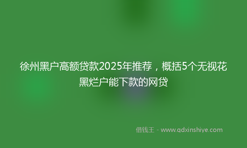 徐州黑户高额贷款2025年推荐，概括5个无视花黑烂户能下款的网贷