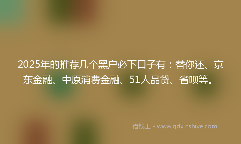 2025年的推荐几个黑户必下口子有：替你还、京东金融、中原消费金融、51人品贷、省呗等。
