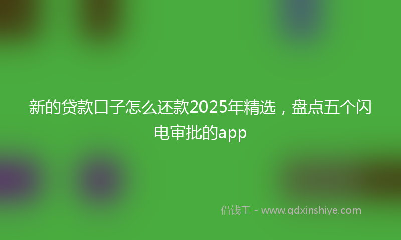 新的贷款口子怎么还款2025年精选，盘点五个闪电审批的app