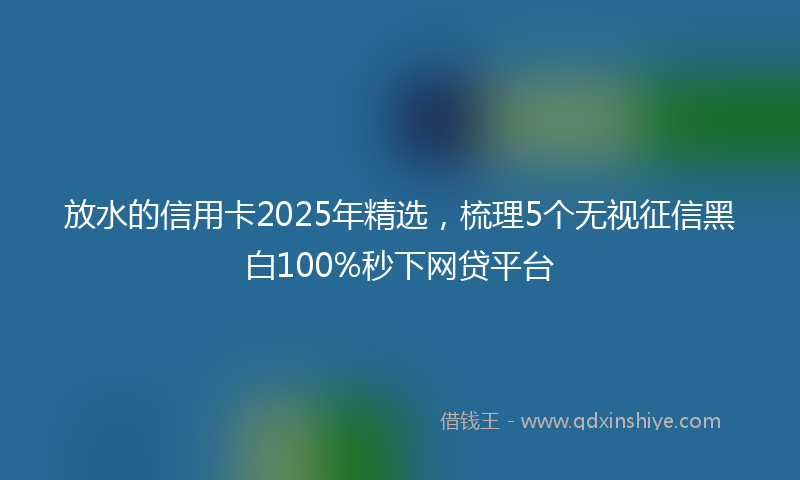 放水的信用卡2025年精选，梳理5个无视征信黑白100%秒下网贷平台