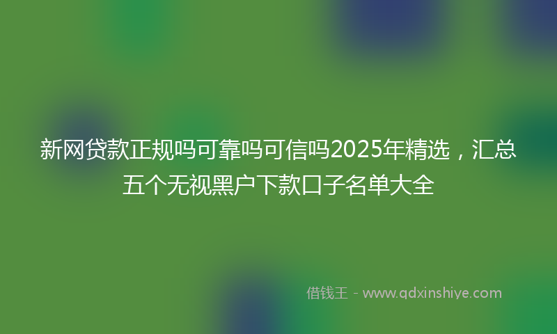 新网贷款正规吗可靠吗可信吗2025年精选，汇总五个无视黑户下款口子名单大全
