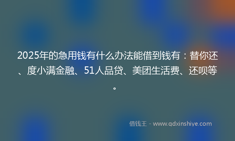 2025年的急用钱有什么办法能借到钱有：替你还、度小满金融、51人品贷、美团生活费、还呗等。
