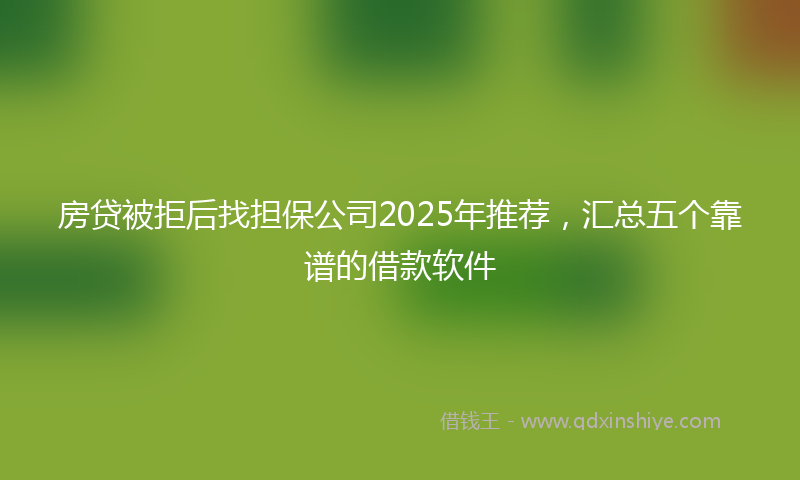 房贷被拒后找担保公司2025年推荐，汇总五个靠谱的借款软件