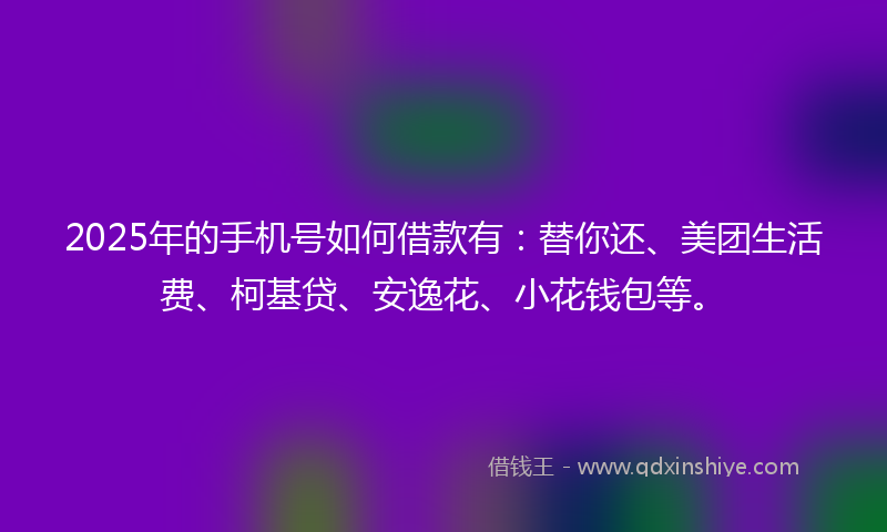 2025年的手机号如何借款有：替你还、美团生活费、柯基贷、安逸花、小花钱包等。