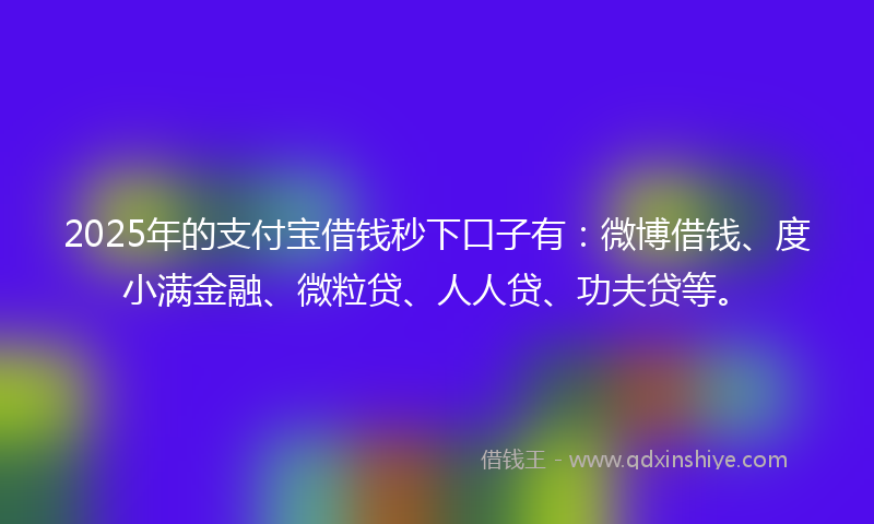 2025年的支付宝借钱秒下口子有：微博借钱、度小满金融、微粒贷、人人贷、功夫贷等。