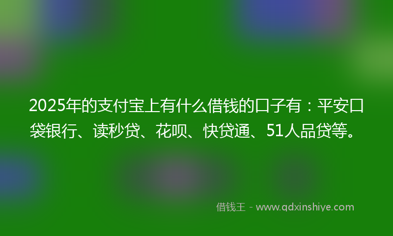 2025年的支付宝上有什么借钱的口子有：平安口袋银行、读秒贷、花呗、快贷通、51人品贷等。