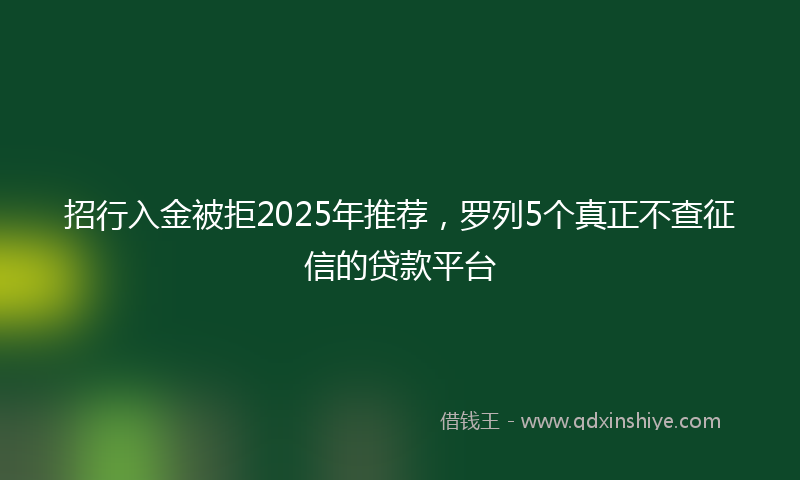 招行入金被拒2025年推荐，罗列5个真正不查征信的贷款平台