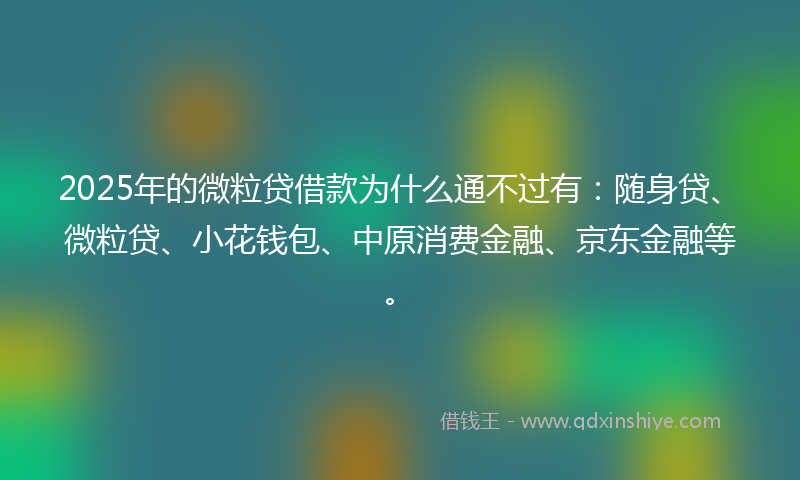 2025年的微粒贷借款为什么通不过有：随身贷、微粒贷、小花钱包、中原消费金融、京东金融等。