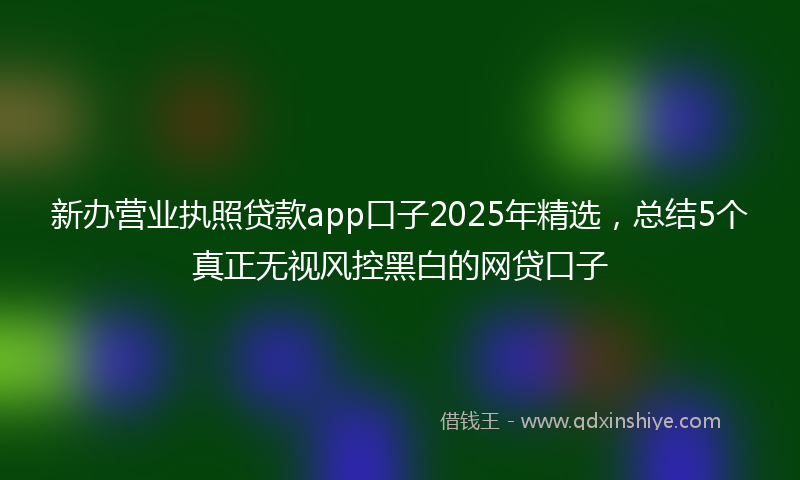 新办营业执照贷款app口子2025年精选，总结5个真正无视风控黑白的网贷口子