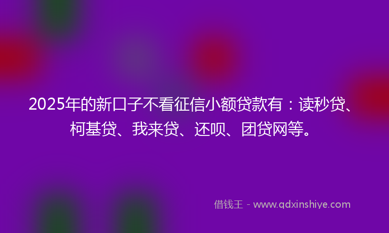 2025年的新口子不看征信小额贷款有：读秒贷、柯基贷、我来贷、还呗、团贷网等。
