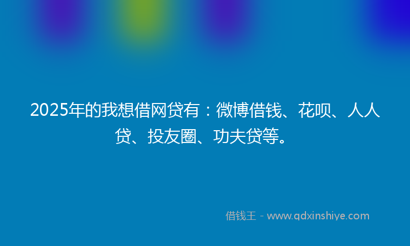 2025年的我想借网贷有：微博借钱、花呗、人人贷、投友圈、功夫贷等。