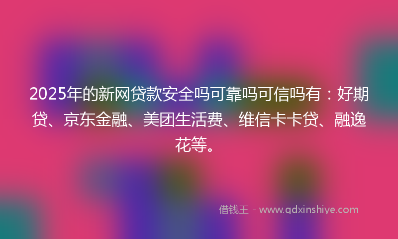 2025年的新网贷款安全吗可靠吗可信吗有：好期贷、京东金融、美团生活费、维信卡卡贷、融逸花等。
