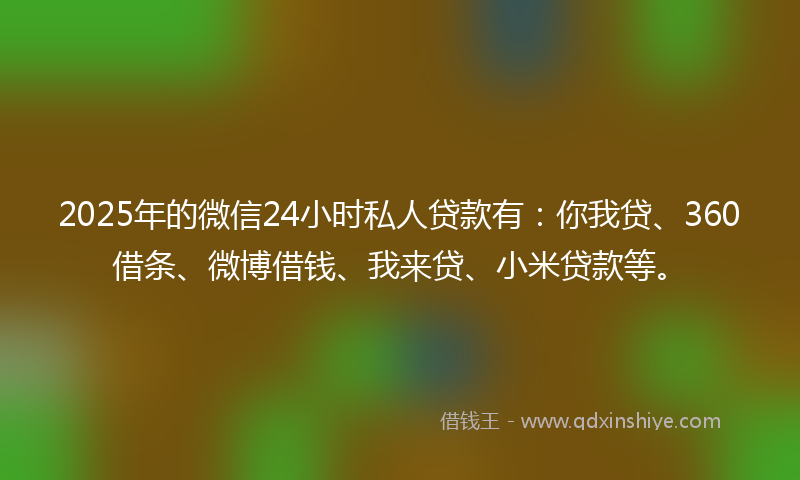 2025年的微信24小时私人贷款有：你我贷、360借条、微博借钱、我来贷、小米贷款等。