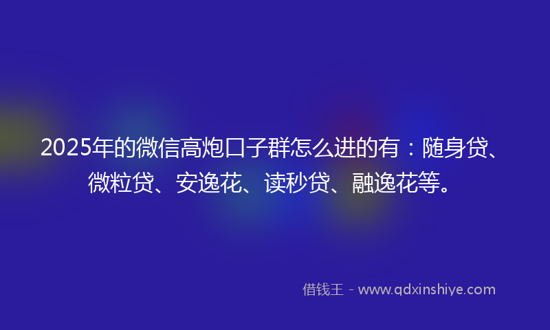 2025年的微信高炮口子群怎么进的有：随身贷、微粒贷、安逸花、读秒贷、融逸花等。