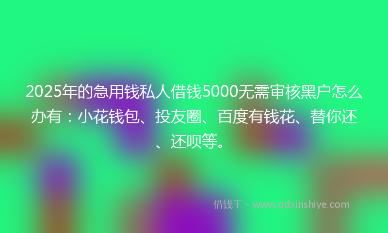 2025年的急用钱私人借钱5000无需审核黑户怎么办有：小花钱包、投友圈、百度有钱花、替你还、还呗等。